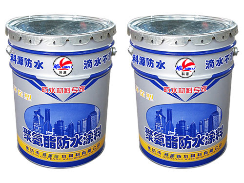 ˫��ݾ۰�����ˮͿ��